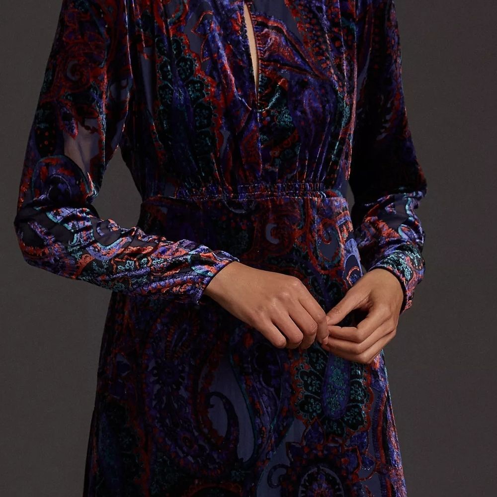 Anthropologie Paisley Velvet Burnout Long Sleeve Dress - Picture 10 of 11